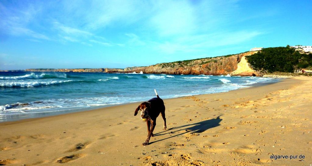 wandern in der Algarve: Praia do Zavial