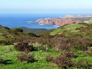 Algarve Sehenswürdigkeiten: Cabo Pontal