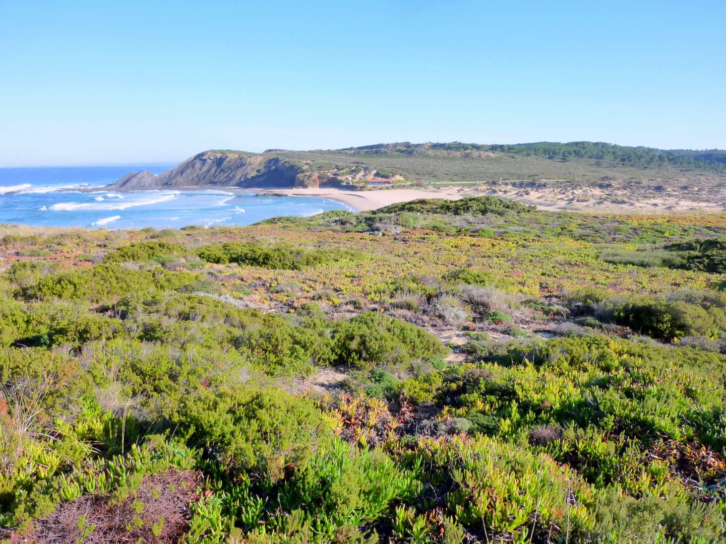 Praia Amoreira