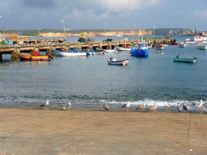 Algarve Sehenswürdigkeiten: Der Fischereihafen von Sagres