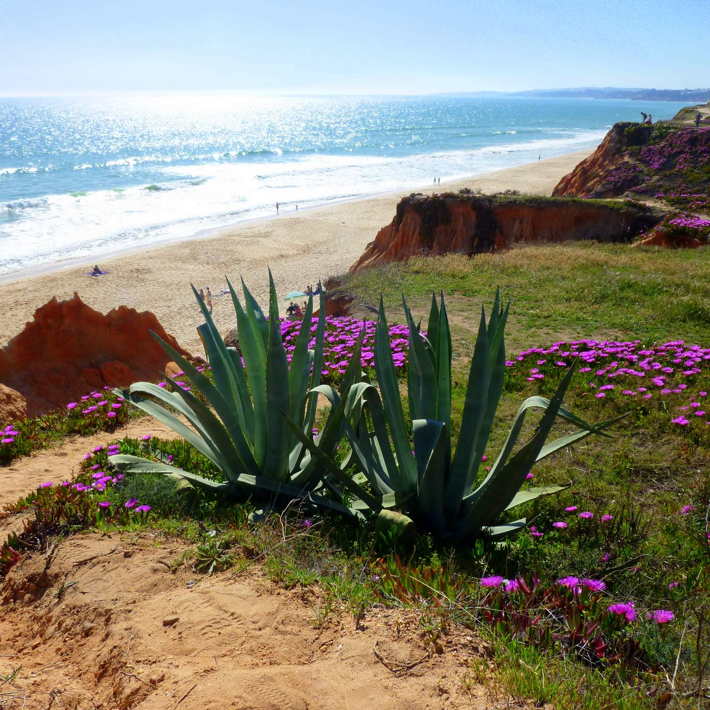 Algarve pur - Urlaub auf eigene Faust cover image