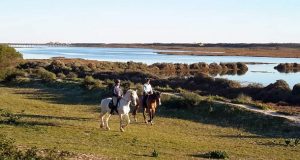 Reiten in der Algarve