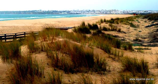 Der Meia Praia bei Lagos in der Algarve, Portugal