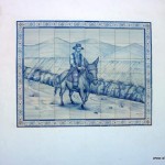 Azulejo in Carrapateira