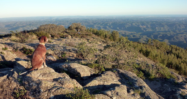 Ferien mit Hund in der Serra de Monchique