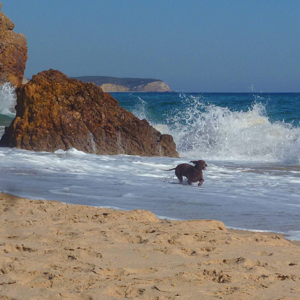 Praia das Furnas