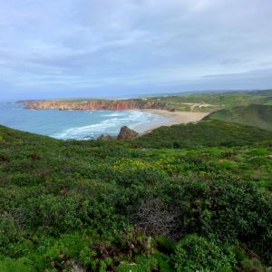 Praia do Amado