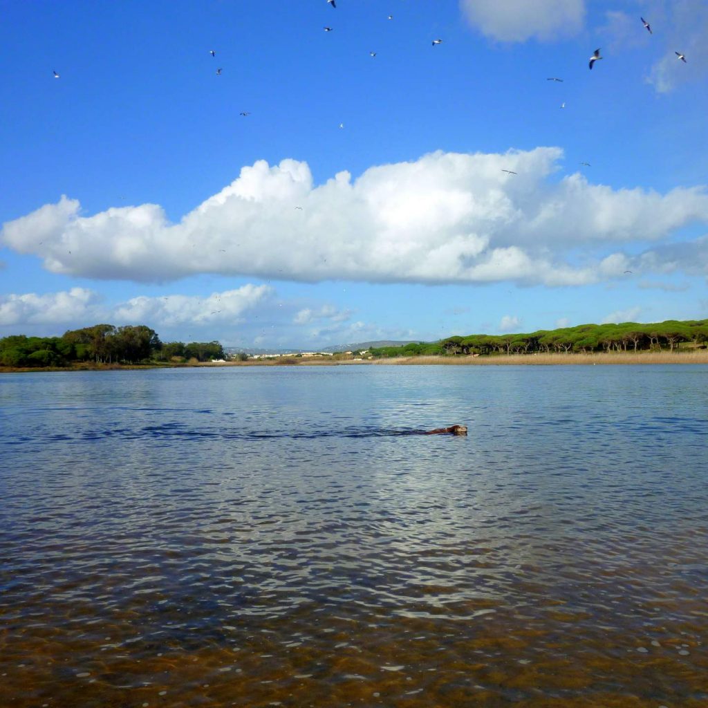 Quarteira Praia do Almargem