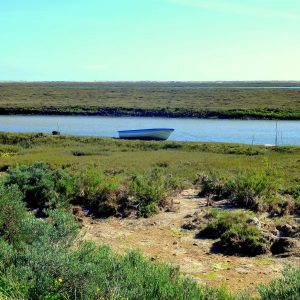 Die Ria Formosa bei Fuseta