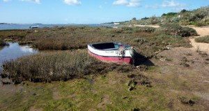 Urlaub an der Sand-Algarve, Der Naturpark Ria Formosa, Portugal