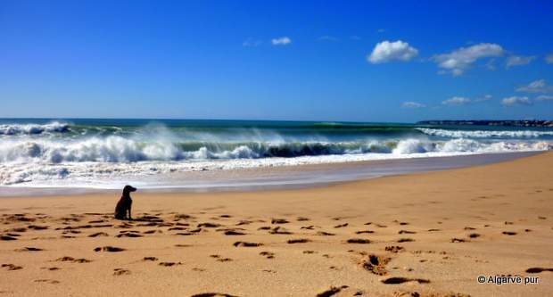 Praia Armacao de Pera